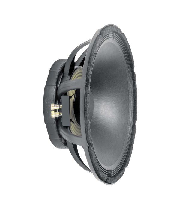 Peavey Speaker