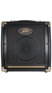 Ecoustic® E20 20-Watt 1x8 Acoustic Amp Combo