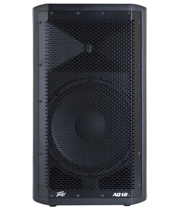 Peavey Speaker