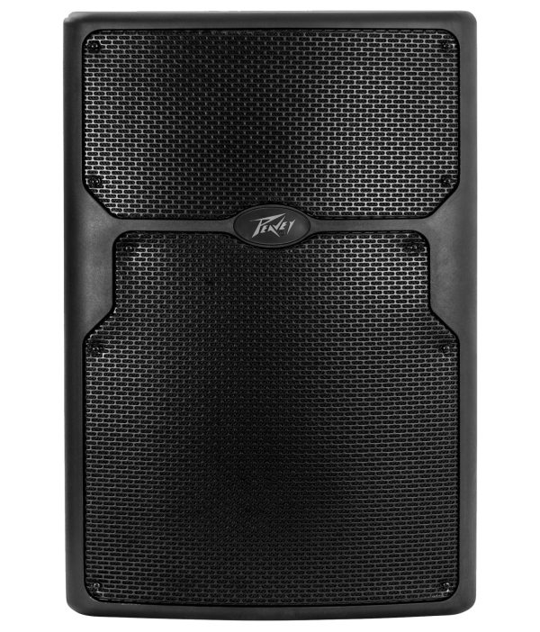 Peavey Passive Loudspeaker