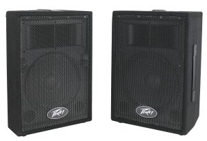 PVi™ 10 (Pair)  2-Way Speaker