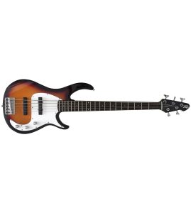 Milestone® 5 BXP Sunburst