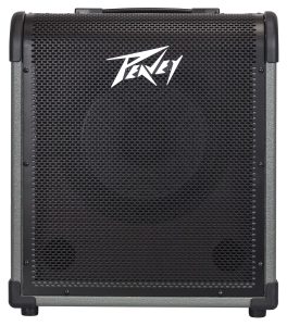 MAX® 100 100-Watt Bass Amp Combo