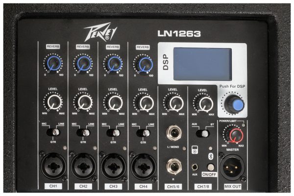 Peavey Column Array