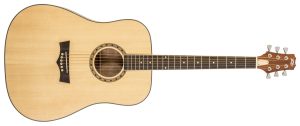 Delta Woods® DW-1™ Acoustic Guitar with Bag