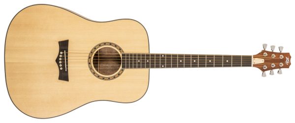 Acoustic Guitar