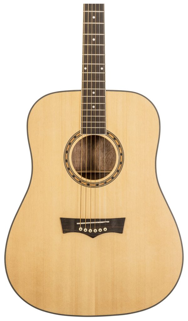 Delta Woods DW-1 Acoustic Guitar