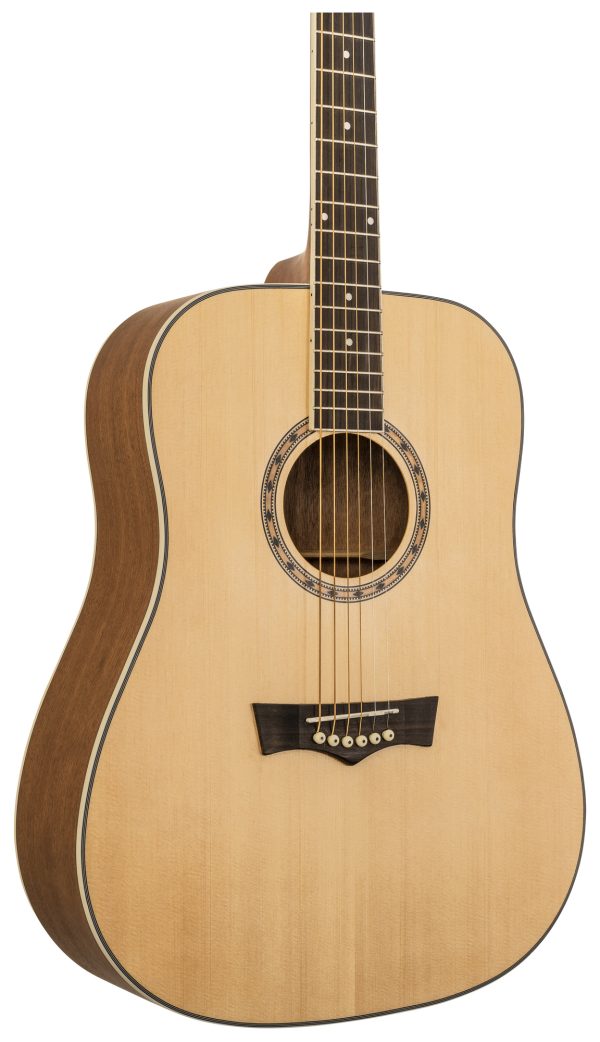 Delta Woods DW-1 Acoustic Guitar