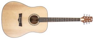 Delta Woods® DW-2™ Solid Top Dreadnought Acoustic Guitar with Case