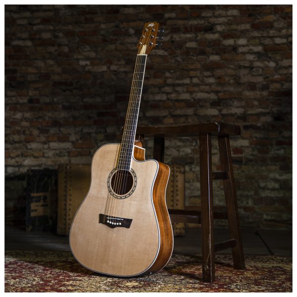 Delta Woods Acoustic-Electric Guitar