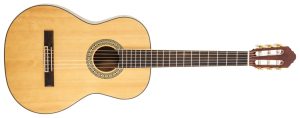 Delta Woods® CNS-2™ Classical Nylon String Guitar