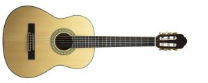 Delta Woods™ CNS 3/4™ Classical Nylon String Guitar