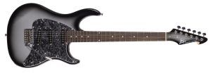 Raptor® Custom Silverburst Electric Guitar